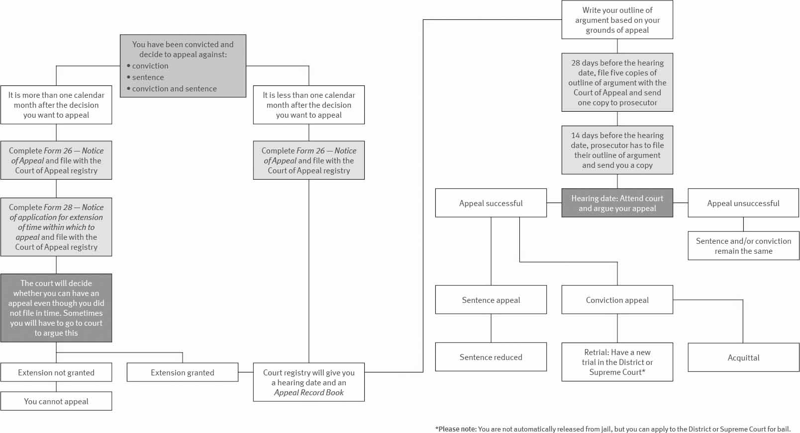 Self represented appeals Process chart